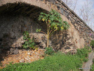 iazzette-13-11-2012 09-45-15
